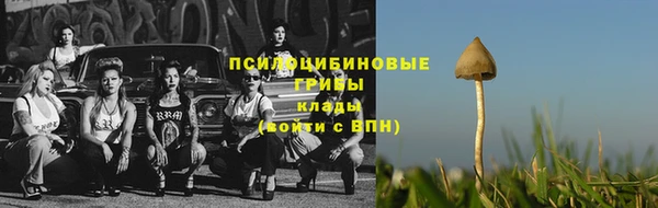 стаф Нижневартовск