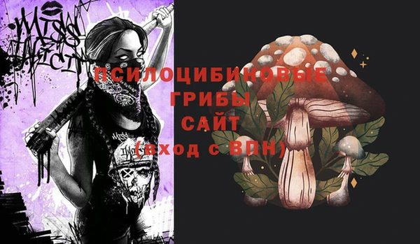 не бодяженный Мурманск