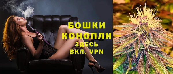 стаф Нижневартовск