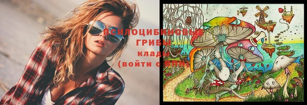 стаф Нижневартовск