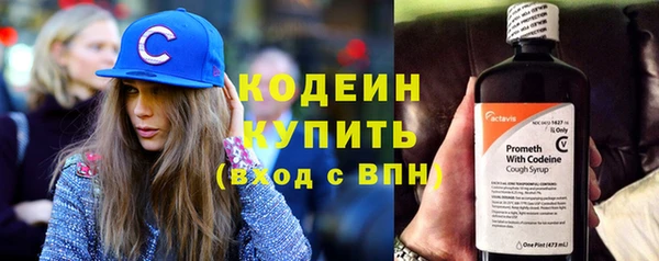дживик Великий Новгород