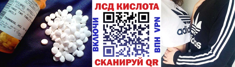 блэк спрут зеркало  Дубовка  ЛСД экстази кислота 